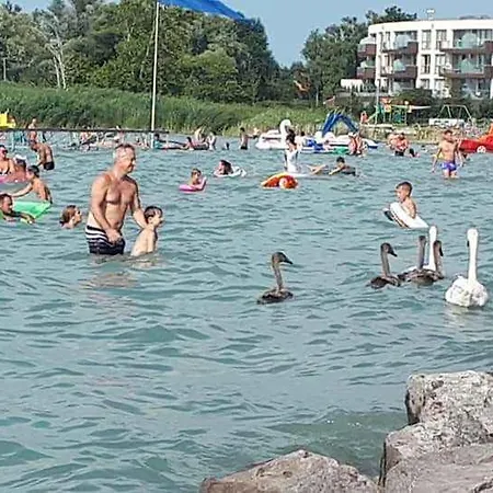 Apartment In - Balaton 53602 *