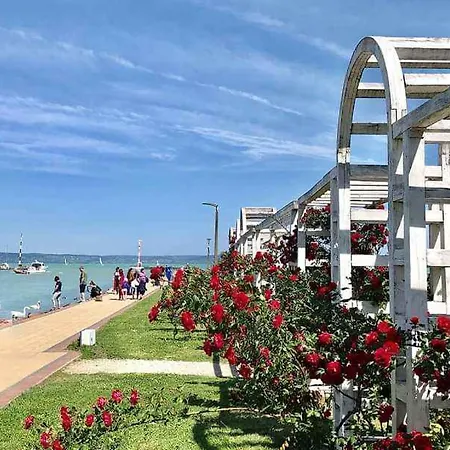 In - Balaton 53602 *